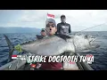 Download Lagu Menaklukkan Perlawanan Ikan Monster Perairan Nabire | MANCING MANIA STRIKE BACK (16/08/25) Part 1