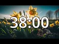 38 Minutes Timer with Music Spring Timer