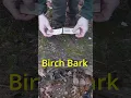 Survival Skills Making a Sheath from Birch Bark