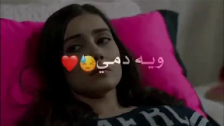 نور الزين ودوني الخوالي فيديو كليب حصري 2019 