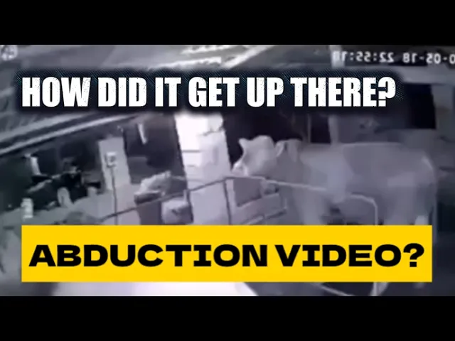 NEW UAP EVIDENCE | HOLY COW! NEW UAP VIDEO FROM OKLAHOMA + ATTEMPTED CATTLE ABDUCTION?!