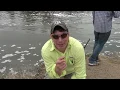 Lost my Aggie Ring