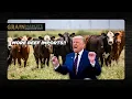 Lagu Trump AGAIN Fights High Beef Prices - Is He Really Fighting the US Cattle Producer?