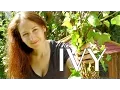 Ivy How to Propagate Ivy - How to Grow a Beautiful Garden with Scarlett