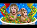 Download Lagu KiKi Monkey bath with Baby Monkey in Rainbow Bathtub with full of M\u0026M Candy | KUDO ANIMAL KIKI