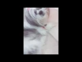 Download Lagu Susto a mi perrita dormida | SARAY bromas