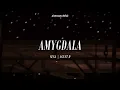 Suga | Agust D - 'Amygdala (D-Day Tour Concert)' || (Traducida al español)