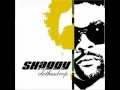 Download Lagu REPENT - SHAGGY