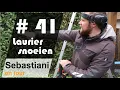 laurierhaag snoeien SEBASTIANI hoveniers ON TOUR #41