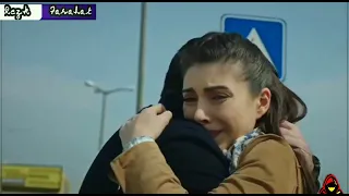 كان الحنين لعنيك 