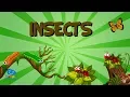 Insects Educational s for Kids