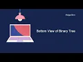 Bottom View Of Binary Tree Solution Explained Java