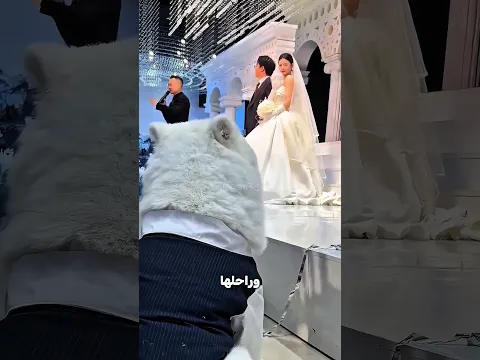 كانت هتسيب كلبها بعد الجواز… لكن اللي حصل يوم الفرح مؤثر جدًا! 🥺🐶