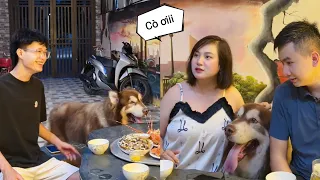Mật Bất Ngờ Đến Thăm Nhà Thằng Cò
