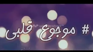 مصطفى كامل تعالي نتحاسب 