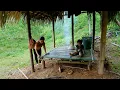 Download Lagu The third day of the mute mother building the bamboo house was full of hardship and fatigue.