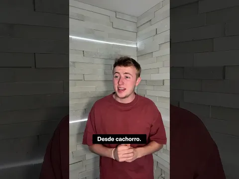 Paciente Cree Que Es Un Perro