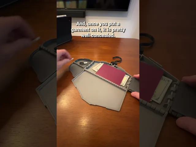 StashHanger 2.0 – Secret Storage Hanger video thumbnail