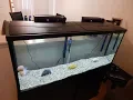 Top Fin Essentials 55 gallon aquarium starter kit