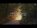 Download Lagu 【洋楽和訳】Somewhere Only We Know - Gustixa