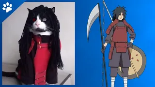 Madara Uchiha Naruto Shippuden うちはマダラ Cat Shorts  Madara Uchiha Naruto Shippuden うちはマダラ Cat Shorts