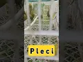 Download Lagu p l e c i #shorts