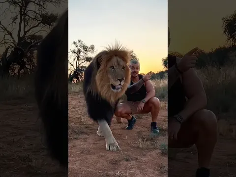 First time in the New Home🦁