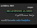 Download Lagu Selendang kuning || Dhimas tedjo ||sragen || |karaoke