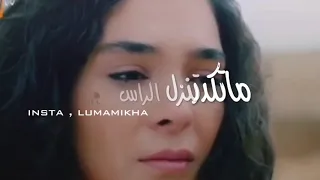 تخيل شجره بيها اوراق حالات واتس اب 