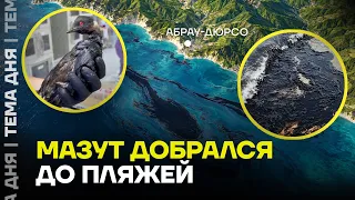 Мазут на пляжах Абрау-Дюрсо! Что скрывают власти