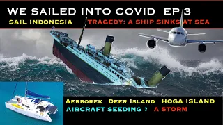 We sailed into covid EP3 (Arborek, Deer Island, Hoga Island), Aircraft Chemtrails, Sinking Ships …