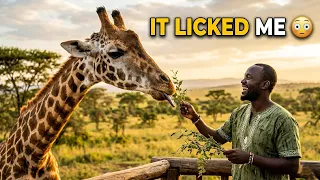 Feeding the Tallest Animal in the World… Not What i Expected 🦒😳