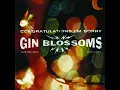Gin Blossoms - Til I Hear It from You