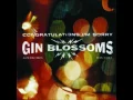 Download Lagu Gin Blossoms - Til I Hear It from You