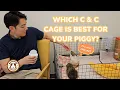 Guinea Pig C C Cages Which Cage is Best for Your Piggy