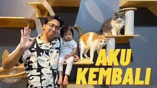 MENGHILANG DARI LANE !!!!