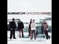 Blumentopf - Safari