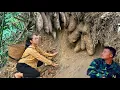 Download Lagu Harvesting wild tubers for sale, why buy an electric fan?