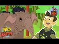Rescuing Endangered Species Creature Rescues Wild Kratts