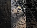 How bad is your mud As bad as this MUDCONTROL slabs can cope