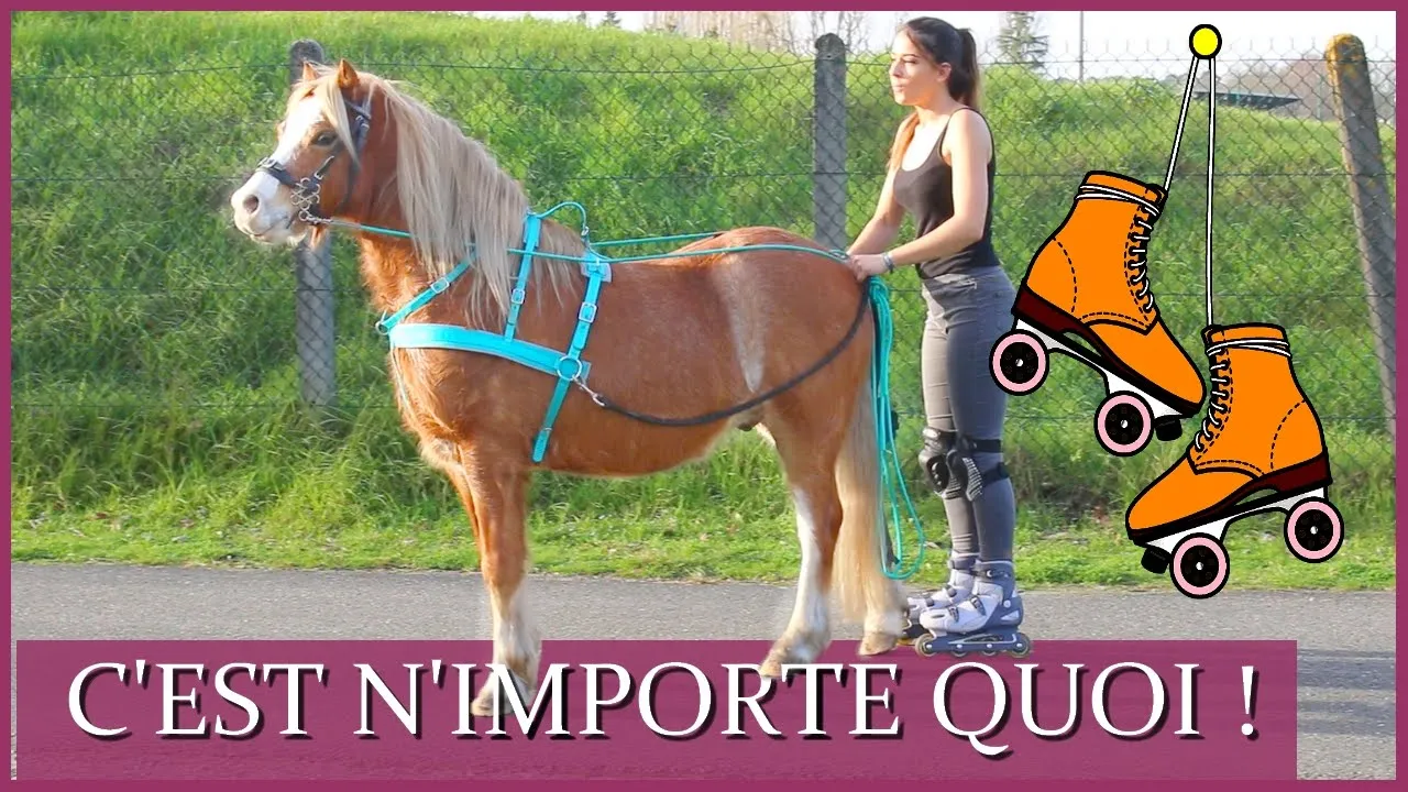 FAIRE DU ROLLER AVEC UN PONEY ?! - J'ai essayé... et c'est pas gagné !