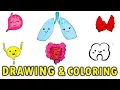 How to Draw and Color Cute Organs for Kids Drawing and Coloring s