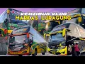 Download Lagu Menanti Kejutan Dari Luragung Group! Banyak Pasukan AKAP Kumpul di Garasi