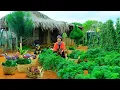 Download Lagu Harvest Green Kale And Banana Flower To Sell At The Market, Cooking With Them