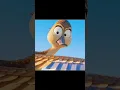 You re old enough to do it in the sky now Migration edit