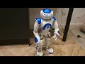 AI Nao Robot ChatGPT Computer Vision - It s starting to see and remember