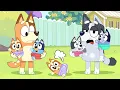 Download Lagu Bluey and Muffin Funny Stories! - Bluey Funny Animation