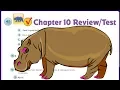 Go Math 5th Grade Chapter 10 Review Part 2 UPDATED