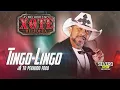 Download Lagu Tingo Lingo - SEVERO NETTO - As Melhores no Xote! #sucesso