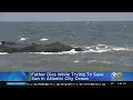 Father Dies Saving Drowning Son